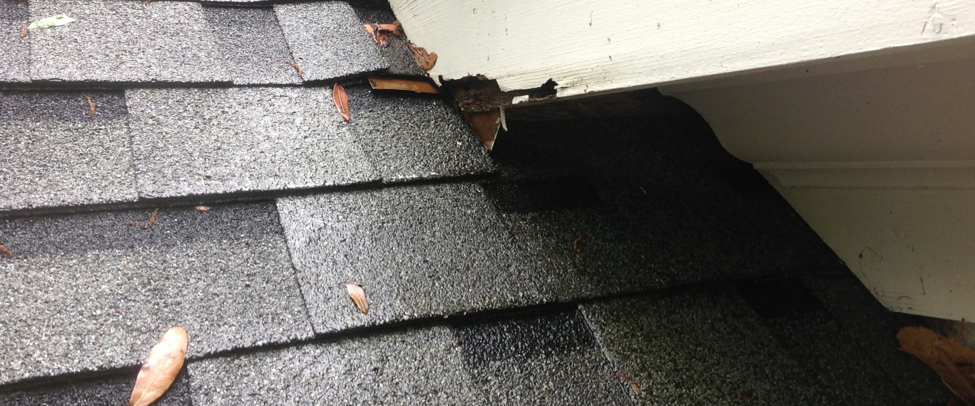 Extensive Damage on Roofs and Siding: What You Need to Know