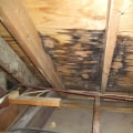 How to Identify and Fix a Leaking Roof