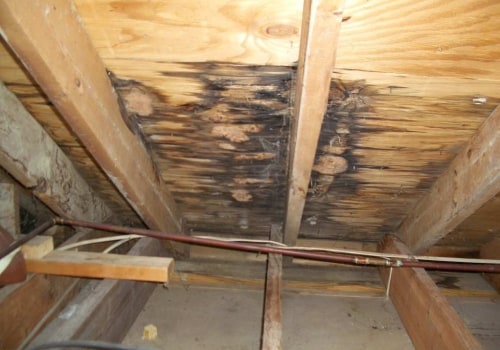 How to Identify and Fix a Leaking Roof